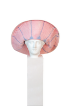 Sombrero Dalia Pink Grande