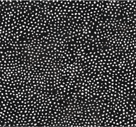 Abycareprint Bolitas Sky