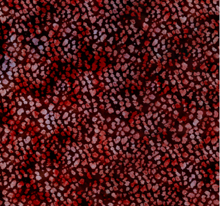Curry Red Python