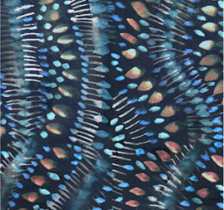 Carajbi St Blue Agar