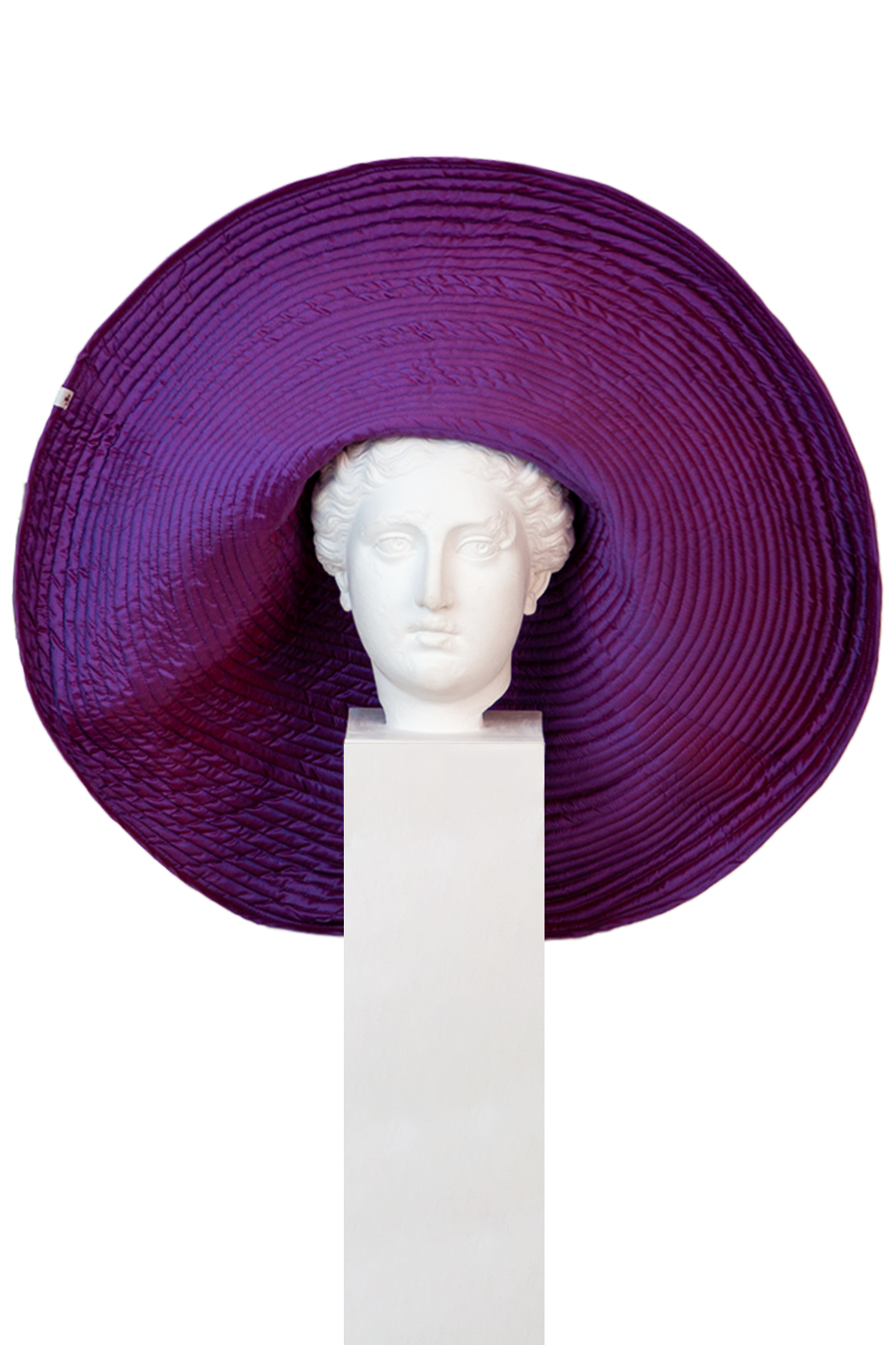 Crisantemo Lilac Gigante Hat