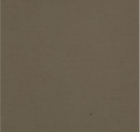 Beige Shibuya Trench Coat