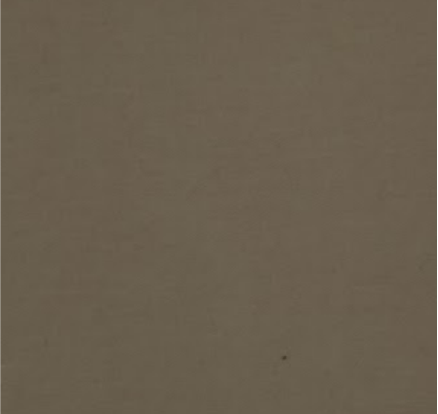 Beige Shibuya Trench Coat