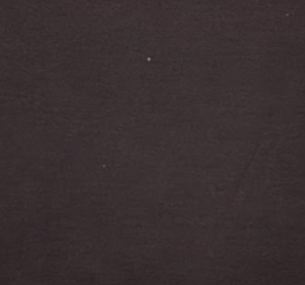 Brown Shibuya Trench Coat