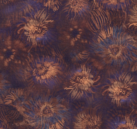 Heavy St Purple Sea Urchins