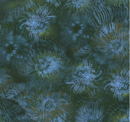 Heavy St Green Sea Urchins