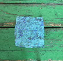 Crisantemo Jade Swimwear