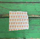 Milfiori Turquoise Swimwear