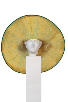 Sombrero gigante orquídea lima 