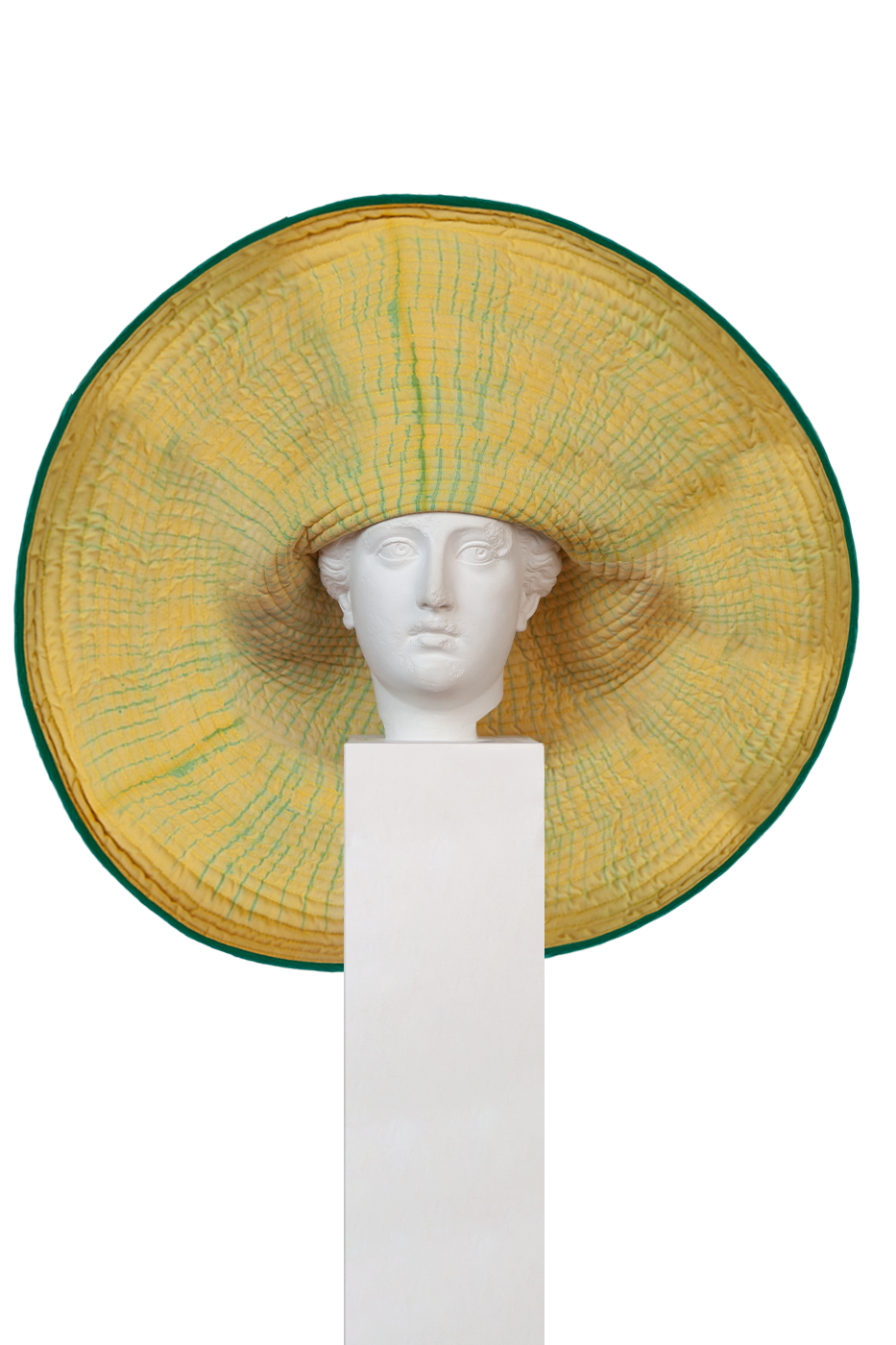 Sombrero gigante orquídea lima 