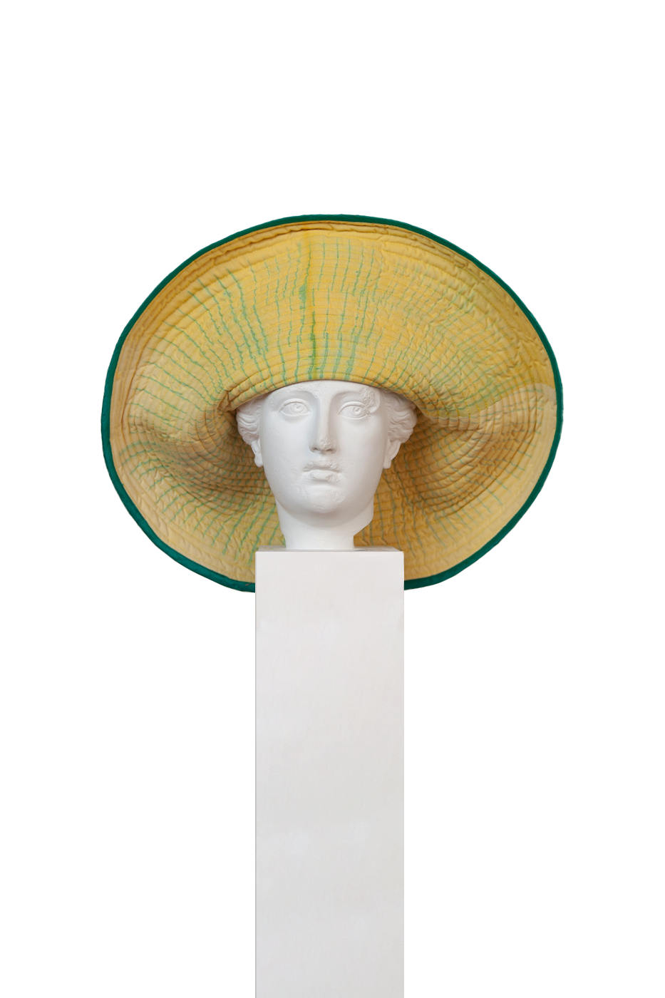 Orquidea Lime Grande Hat