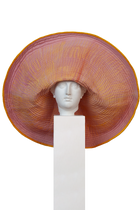 Orquidea Rose Gigante Hat