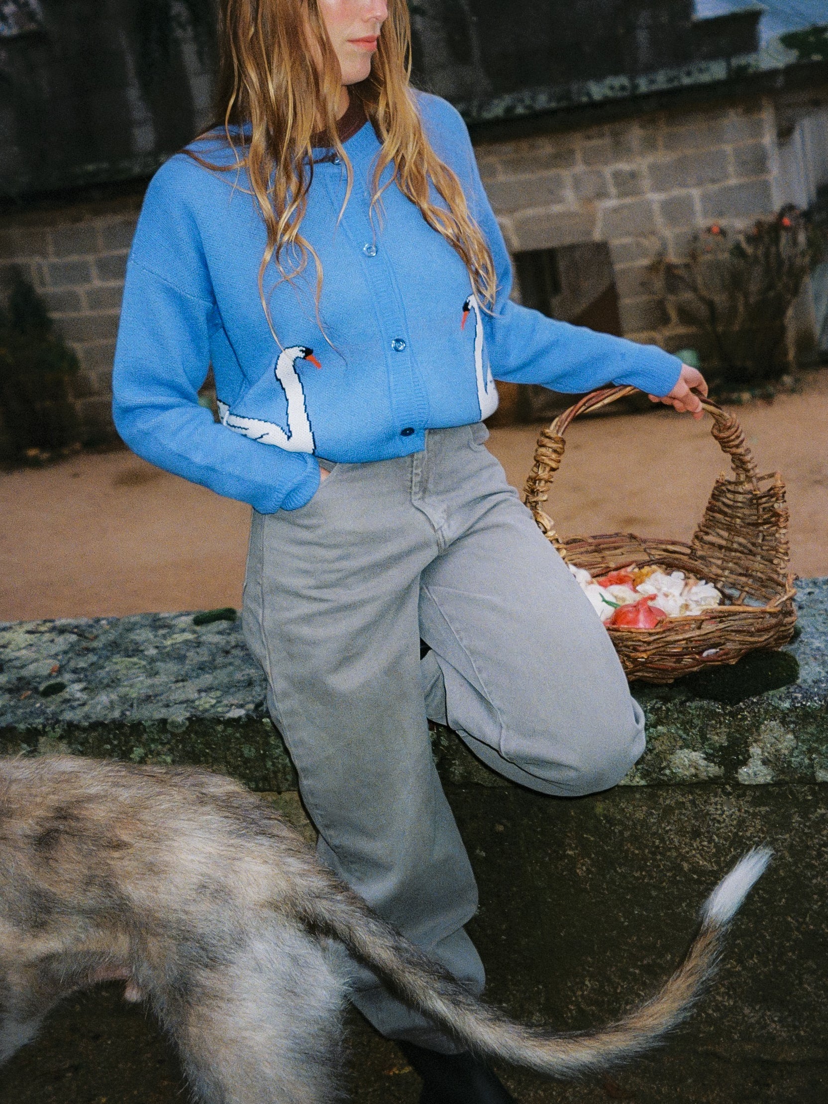 Cárdigan Cira Cisnes Azul