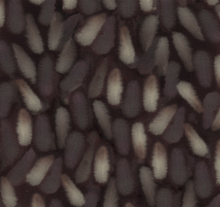 Smeraldo Smoked Feathers