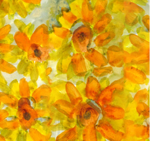 Zanzibar Crisantemo Ambar