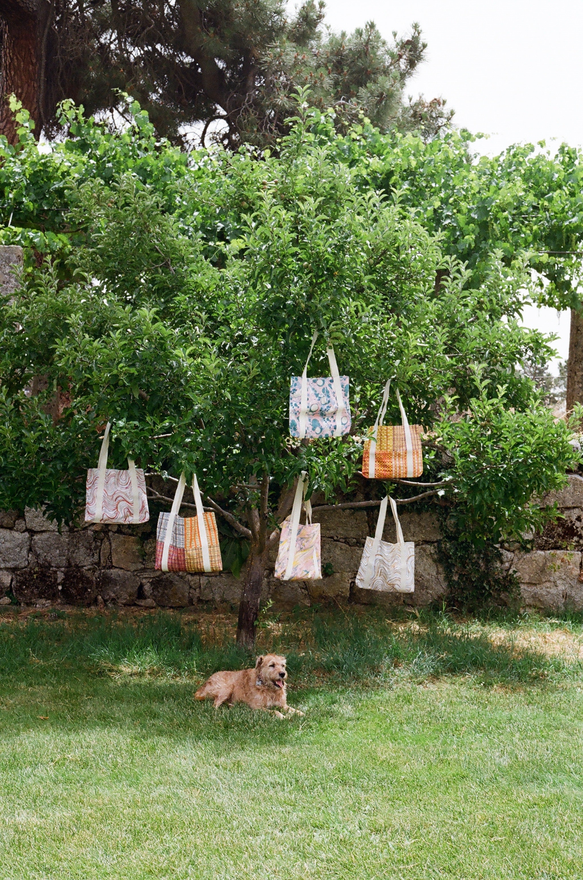 Le Bag Picnic Amarillo